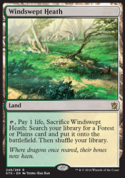 Windswept Heath