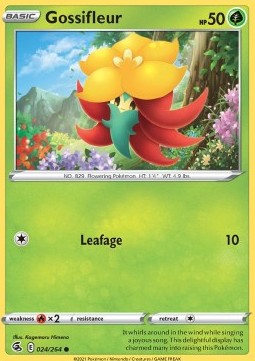 Gossifleur