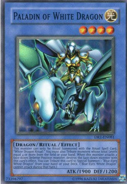 Paladin of White Dragon