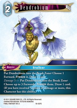 Dendrobium (10-037)