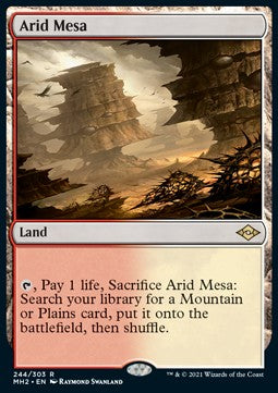 Arid Mesa - Modern Horizons 2 (Rare) [MH2-244]