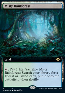 Misty Rainforest (V.3)