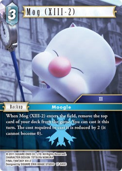 Fencer (17-039)
