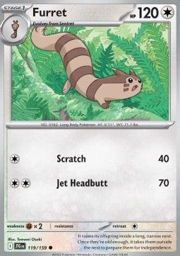 Furret